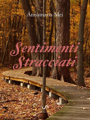 cover image of Sentimenti stracciati